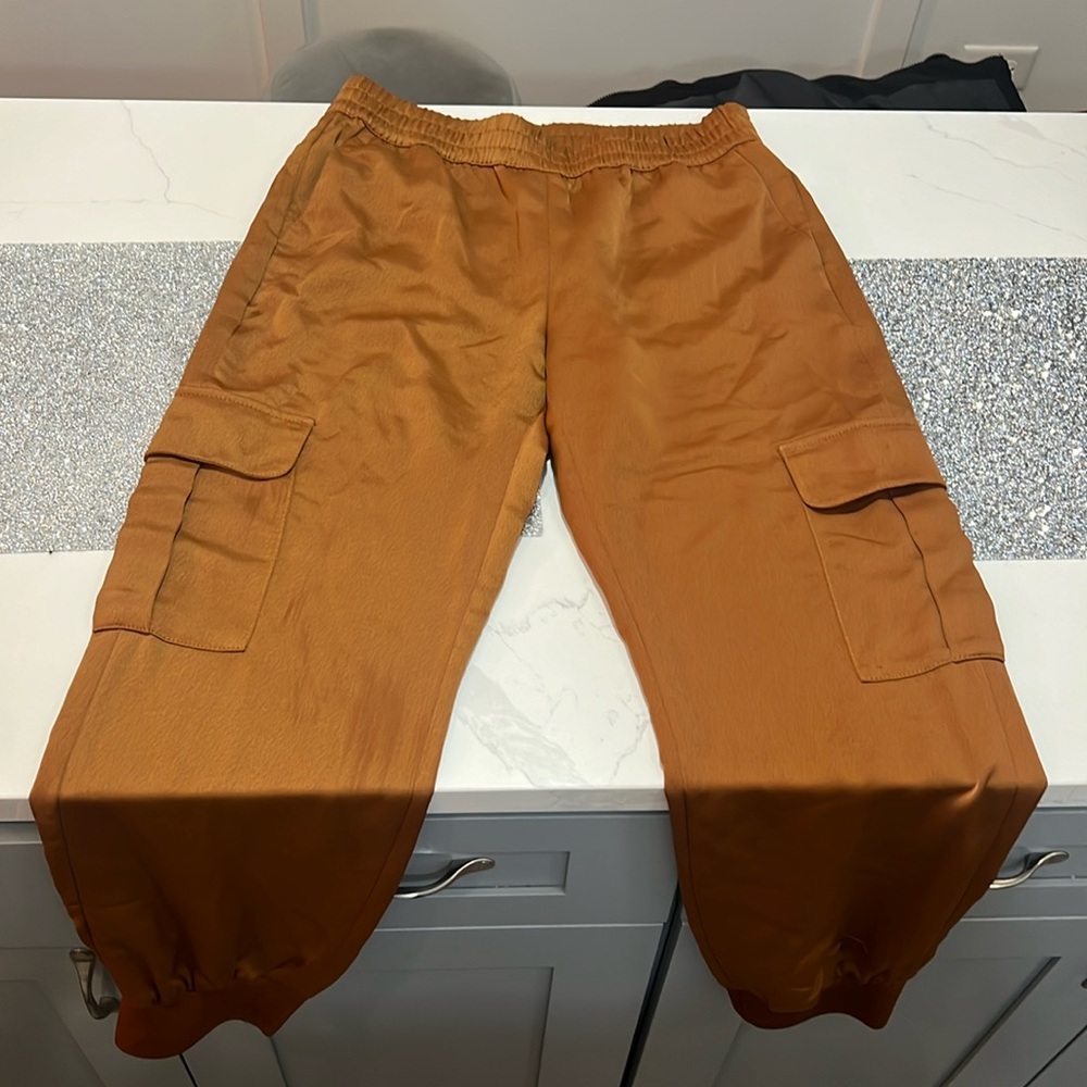 Banana republic joggers 100% polyester are fun and expensive looking.